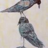 Aves